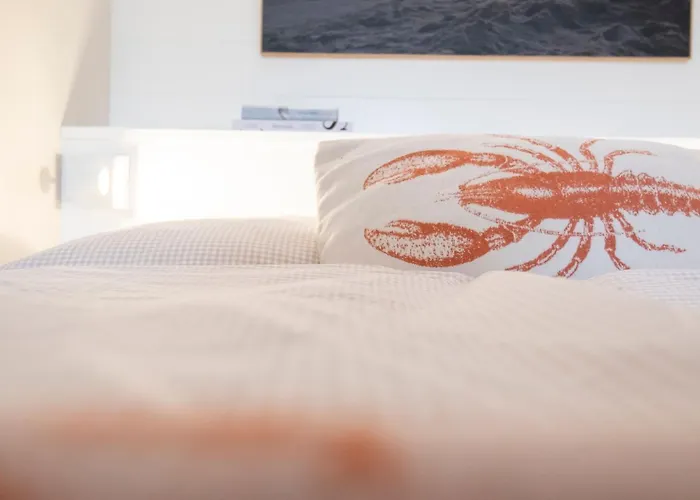 Berolina Abendrot Dahme (Schleswig-Holstein)